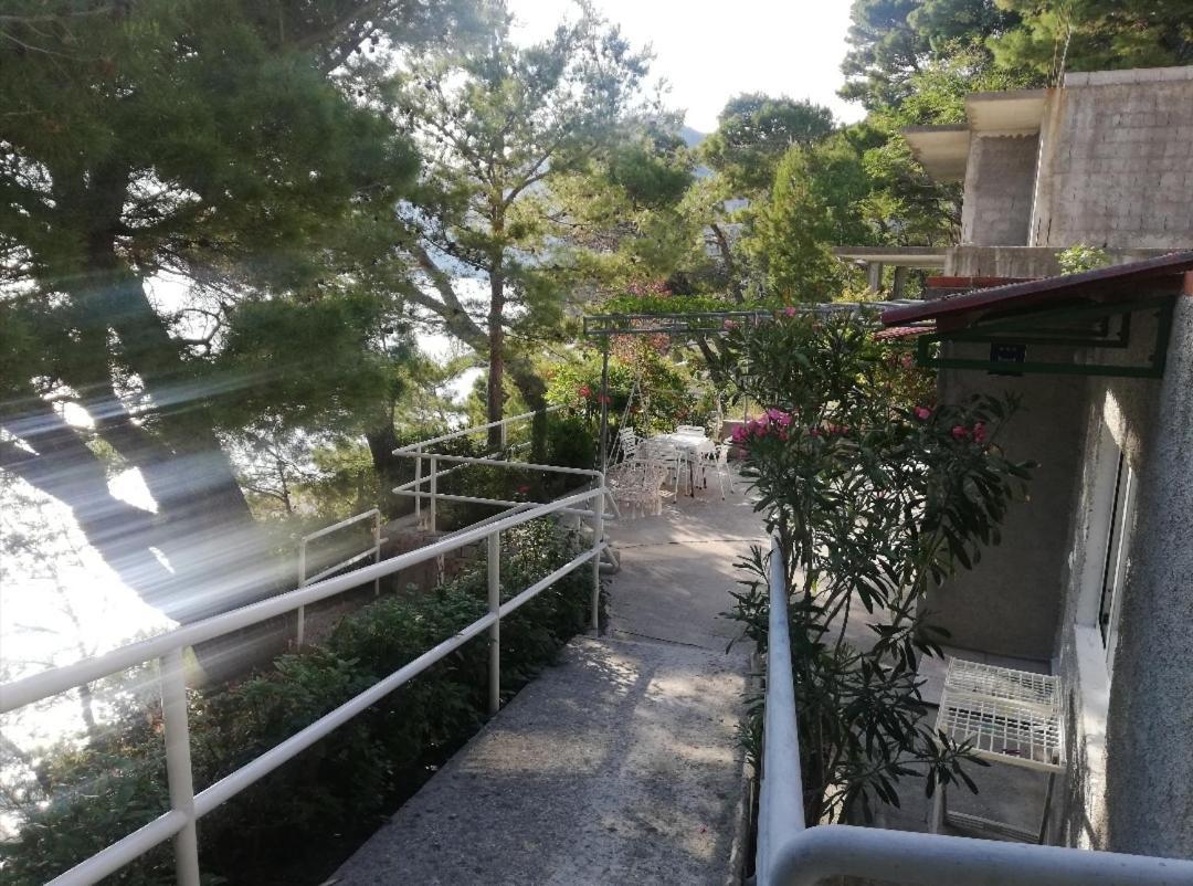Apartmani Mares - 20 M From The Beach 布雷拉 外观 照片