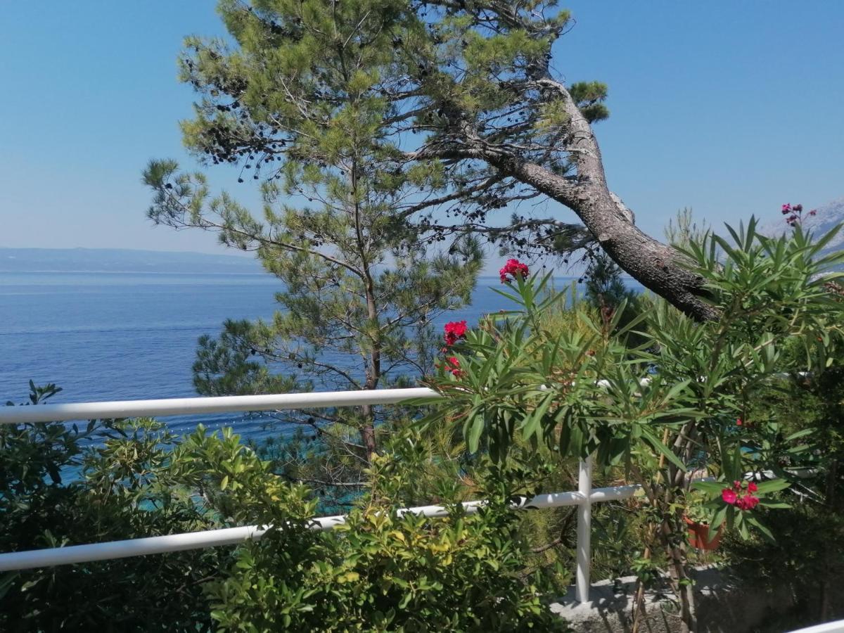 Apartmani Mares - 20 M From The Beach 布雷拉 外观 照片