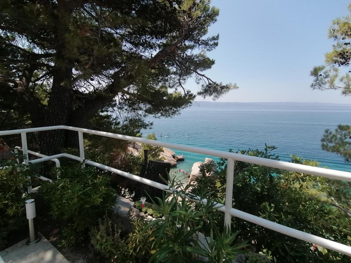 Apartmani Mares - 20 M From The Beach 布雷拉 外观 照片