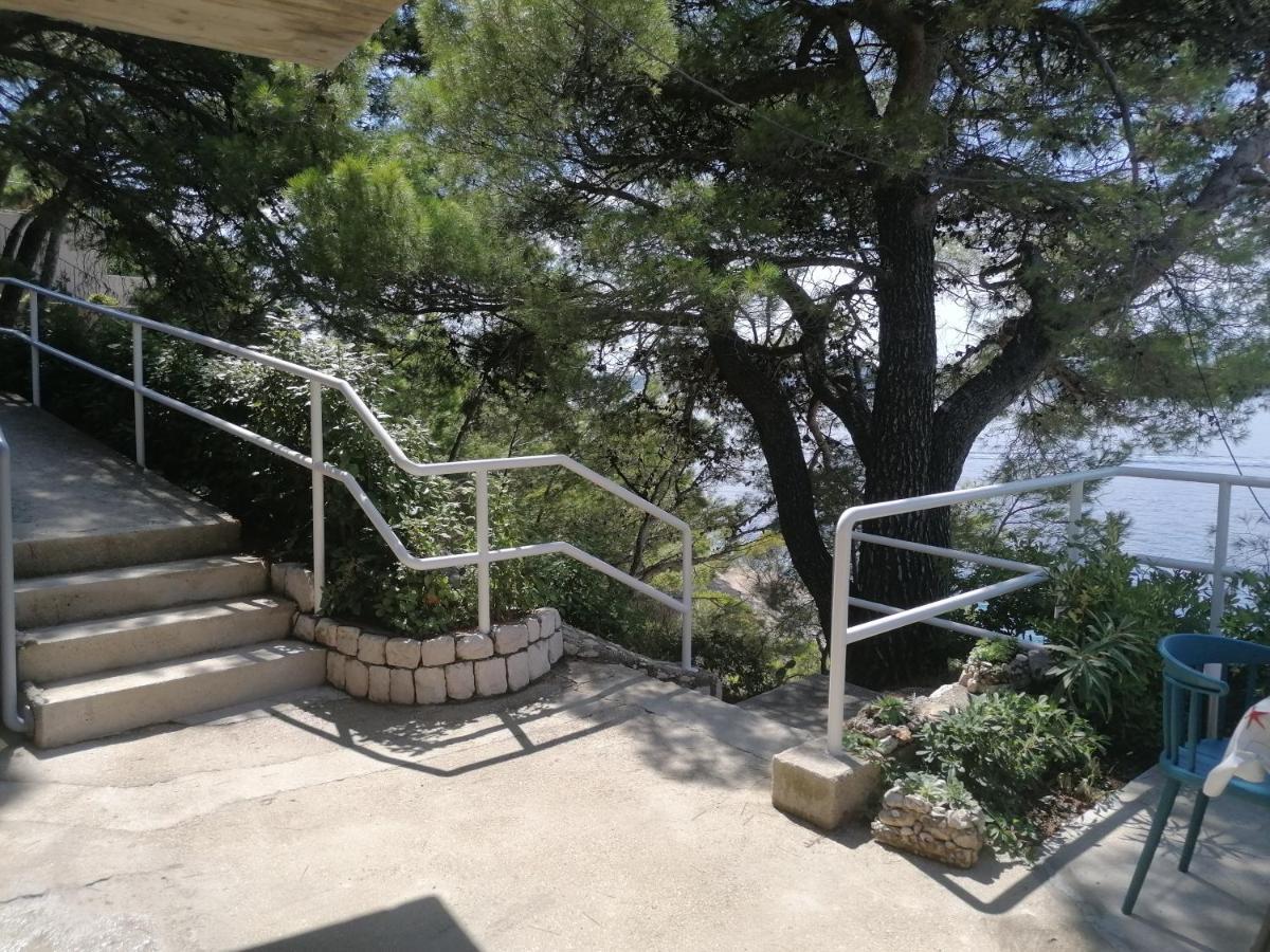 Apartmani Mares - 20 M From The Beach 布雷拉 外观 照片
