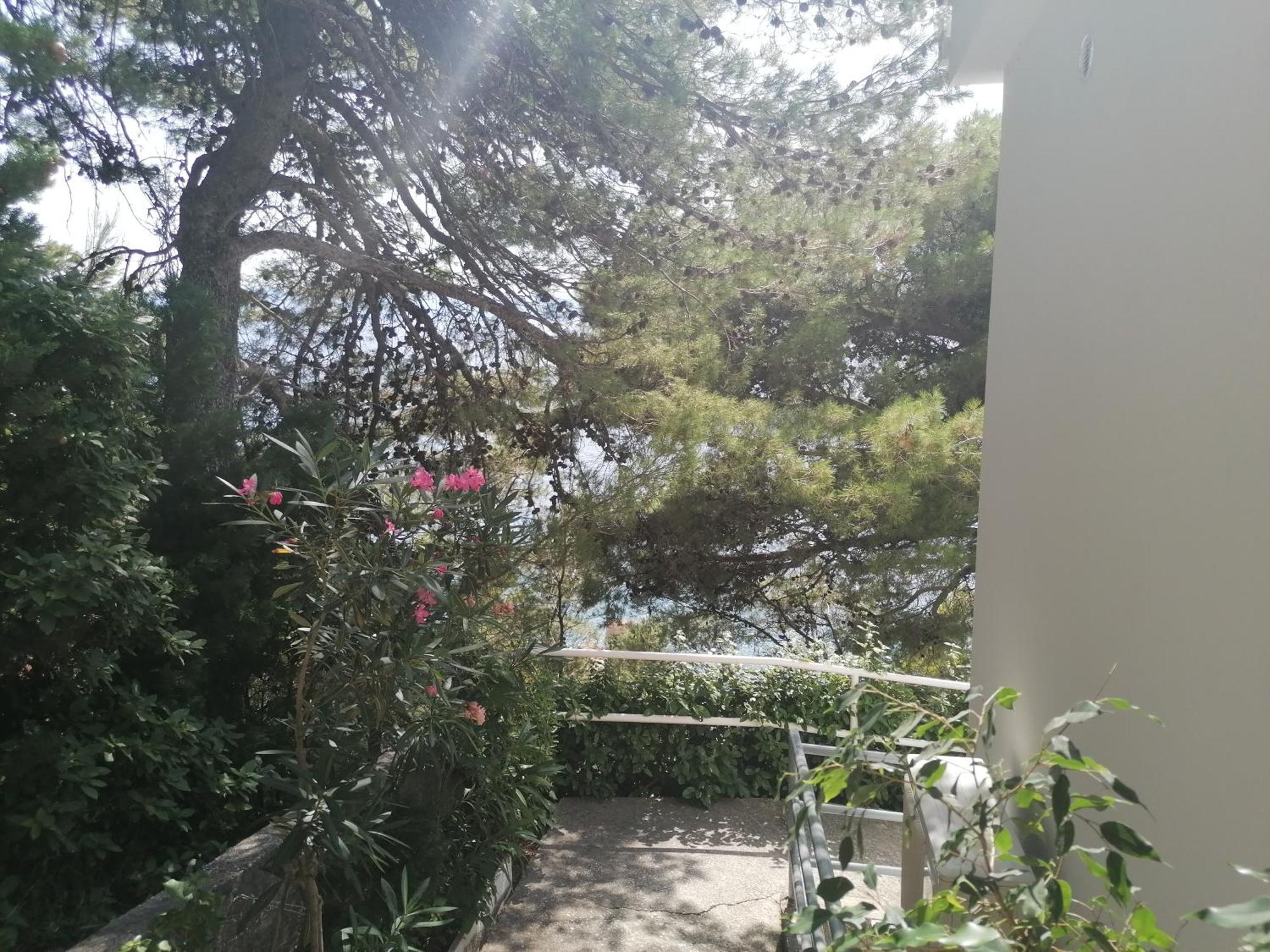 Apartmani Mares - 20 M From The Beach 布雷拉 外观 照片